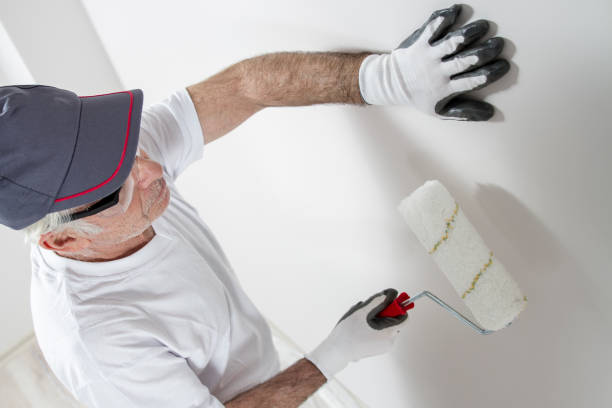Best Commercial Mold Inspection  in Redington Beach, FL