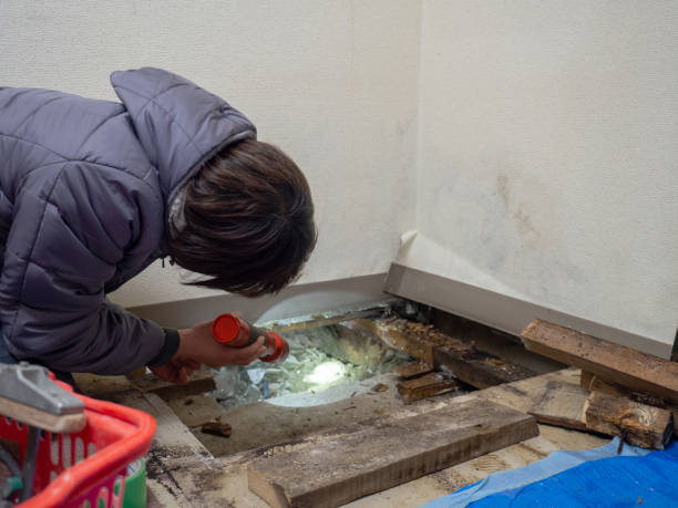 Best Mold Prevention Services  in Redington Beach, FL