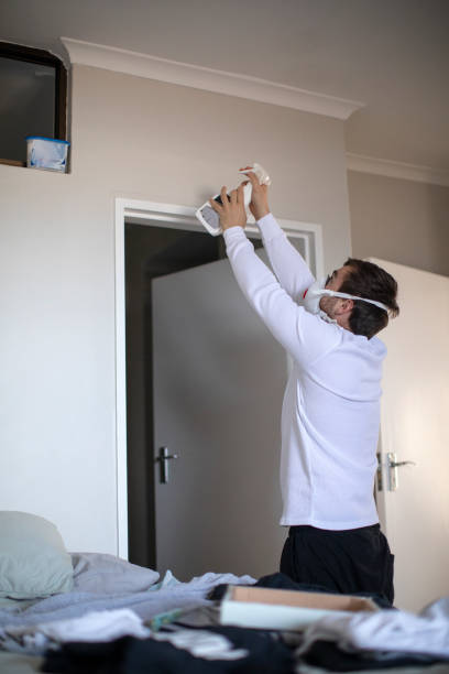 Best Environmental Consulting for Mold Prevention  in Redington Beach, FL