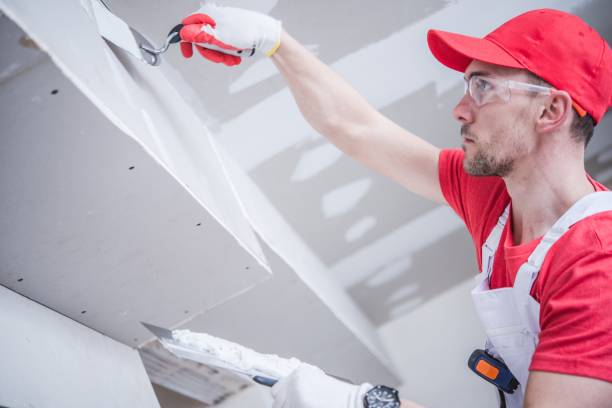 Reliable Redington Beach, FL Mold Removal Solutions