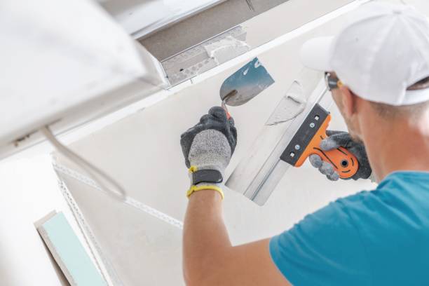 Best Crawl Space Mold Remediation  in Redington Beach, FL